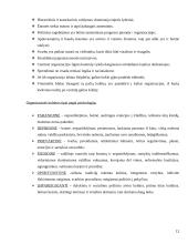 Organizacijos kultūros tobulinimas įmonėse 12 puslapis