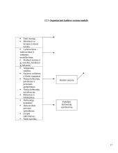 Organizacijos kultūros tobulinimas įmonėse 17 puslapis