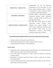 Organizacijos kultūros tobulinimas įmonėse 19 puslapis