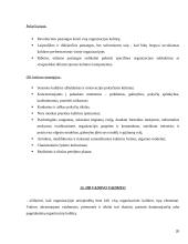 Organizacijos kultūros tobulinimas įmonėse 20 puslapis