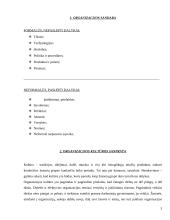 Organizacijos kultūros tobulinimas įmonėse 3 puslapis