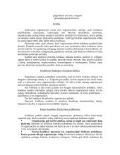 Organizacijos moralinis kodeksas 2 puslapis