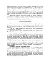 Organizacijos moralinis kodeksas 4 puslapis