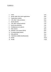 Organizacijos organizacinės valdymo struktūros analizė: UAB "Rūta" 2 puslapis