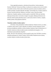 Organizacijos organizacinės valdymo struktūros analizė: UAB "Rūta" 11 puslapis