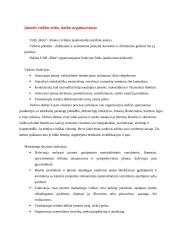 Organizacijos organizacinės valdymo struktūros analizė: UAB "Rūta" 4 puslapis