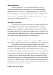 Organizacijos organizacinės valdymo struktūros analizė: UAB "Rūta" 9 puslapis
