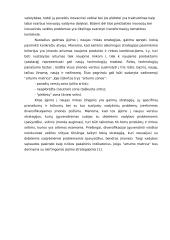 Organizacijos plėtra: vertinimo aspektai 14 puslapis