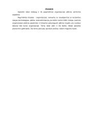 Organizacijos plėtra: vertinimo aspektai 15 puslapis