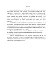 Organizacijos plėtra: vertinimo aspektai 3 puslapis