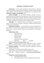 Organizacijos plėtra: vertinimo aspektai 4 puslapis