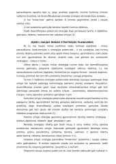 Organizacijos plėtra: vertinimo aspektai 9 puslapis