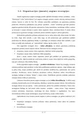 Organizacijos plėtros vertinimo aspektai 10 puslapis