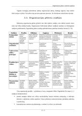 Organizacijos plėtros vertinimo aspektai 11 puslapis