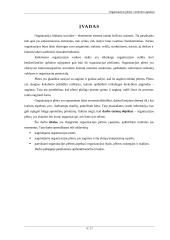 Organizacijos plėtros vertinimo aspektai 2 puslapis