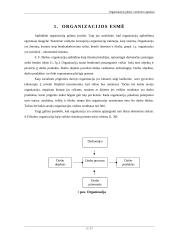 Organizacijos plėtros vertinimo aspektai 3 puslapis