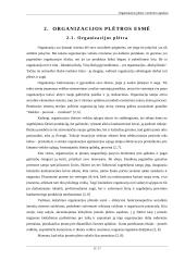 Organizacijos plėtros vertinimo aspektai 6 puslapis