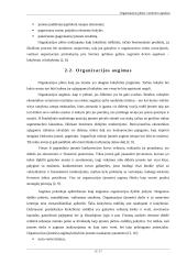 Organizacijos plėtros vertinimo aspektai 7 puslapis