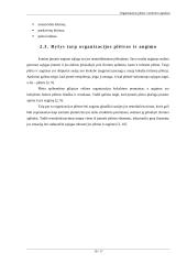 Organizacijos plėtros vertinimo aspektai 8 puslapis