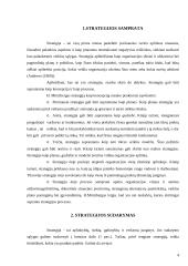 Organizacijos strategijos reikšmė 2 puslapis