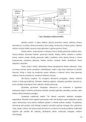 Organizacijos strategijos reikšmė 12 puslapis