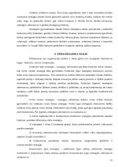 Organizacijos strategijos reikšmė 13 puslapis