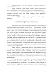 Organizacijos strategijos reikšmė 14 puslapis