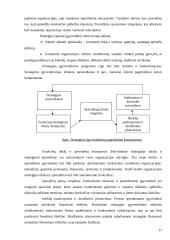 Organizacijos strategijos reikšmė 15 puslapis