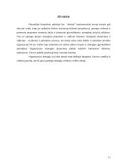 Organizacijos strategijos reikšmė 19 puslapis