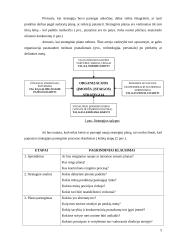 Organizacijos strategijos reikšmė 3 puslapis