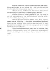 Organizacijos strategijos reikšmė 6 puslapis