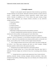 Organizacijos strategija: samprata, lygiai, rengimo eiga 2 puslapis