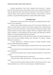 Organizacijos strategija: samprata, lygiai, rengimo eiga 12 puslapis