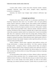 Organizacijos strategija: samprata, lygiai, rengimo eiga 13 puslapis