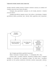 Organizacijos strategija: samprata, lygiai, rengimo eiga 14 puslapis