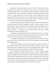 Organizacijos strategija: samprata, lygiai, rengimo eiga 16 puslapis