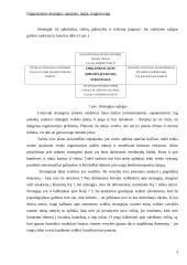 Organizacijos strategija: samprata, lygiai, rengimo eiga 3 puslapis