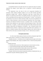 Organizacijos strategija: samprata, lygiai, rengimo eiga 6 puslapis