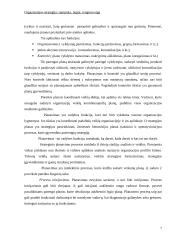 Organizacijos strategija: samprata, lygiai, rengimo eiga 8 puslapis