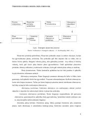 Organizacijos strategija: samprata, lygiai, rengimo eiga 9 puslapis