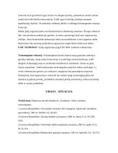 Organizacijos strateginis planas: UAB "Audionas" 3 puslapis