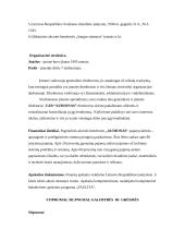 Organizacijos strateginis planas: UAB "Audionas" 4 puslapis