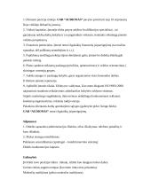 Organizacijos strateginis planas: UAB "Audionas" 5 puslapis
