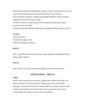 Organizacijos strateginis planas: UAB "Audionas" 6 puslapis