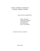 Organizacijos strateginis planas: UAB "Audionas" 9 puslapis