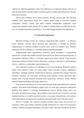 Organizacijos struktūra ir jų tipai 11 puslapis