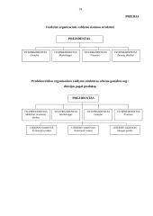 Organizacijos struktūra ir jų tipai 14 puslapis