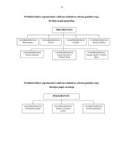 Organizacijos struktūra ir jų tipai 15 puslapis