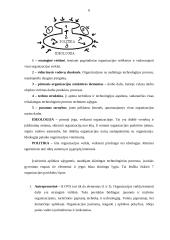 Organizacijos struktūra ir jų tipai 6 puslapis