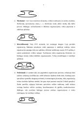 Organizacijos struktūra ir jų tipai 7 puslapis